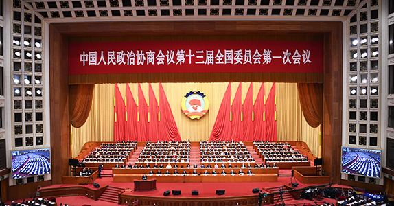 全國政協(xié)委員詹純新：企業(yè)走出去要“做主、做深、做透”